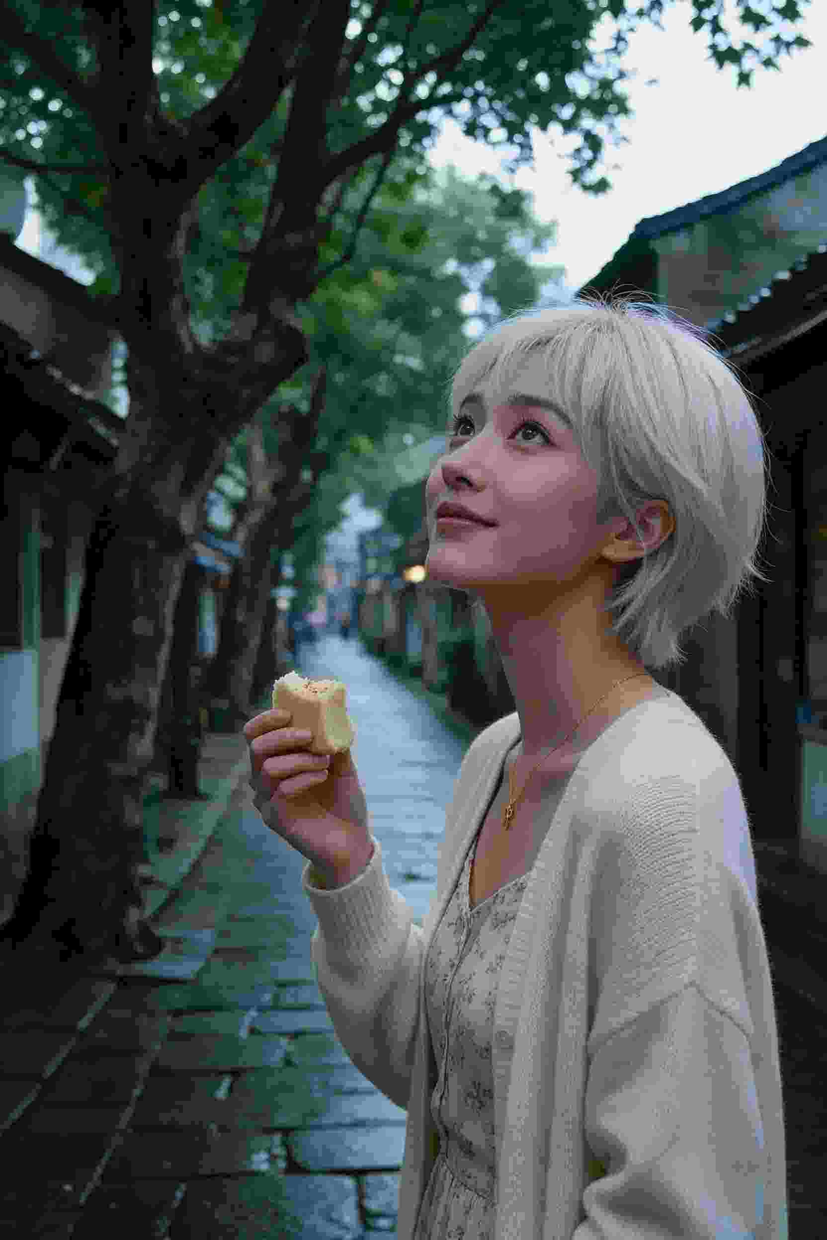 冒险之旅